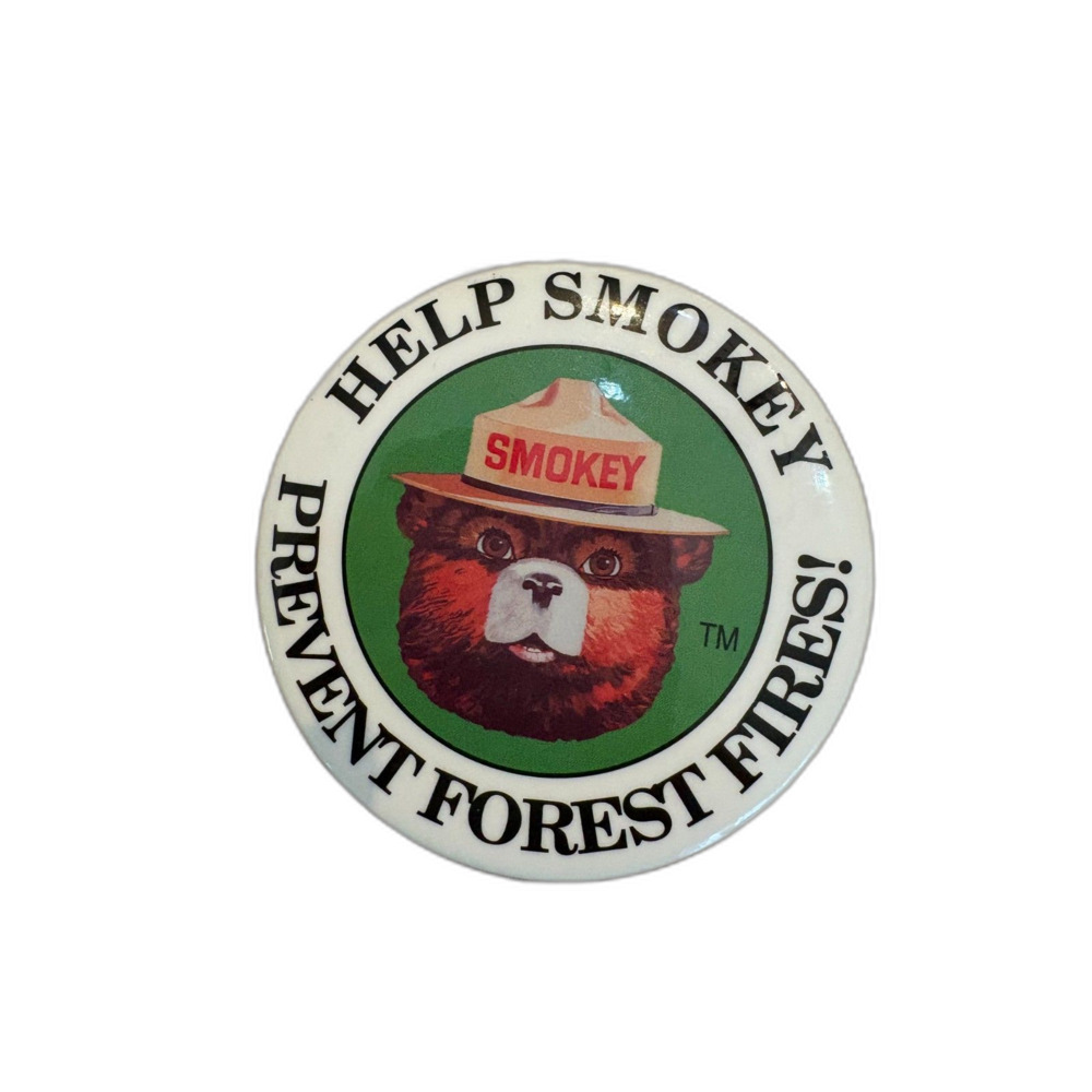 Vintage Smokey Bear “Help Prevent Forest Fires” Pinback Button US Forest Service